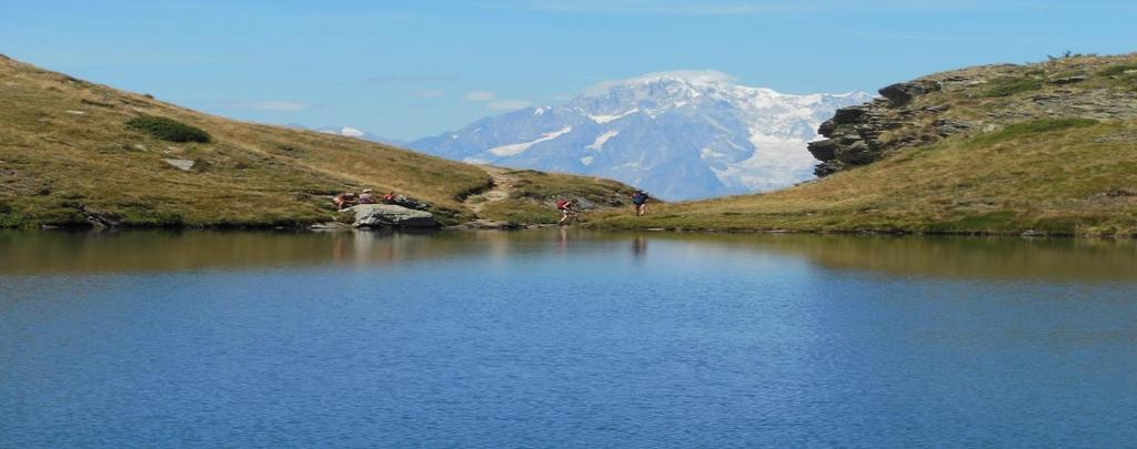 Vårblomstring og Vandring i de italienske Alper og Gran Paradiso 03.-10.juni 2018 Utsikten til Mont Blanc på en av dagsturene.