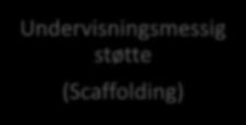 Undervisningsmessig støtte (Scaffolding) Faglige krav Bruk og representasjon av faglig innhold