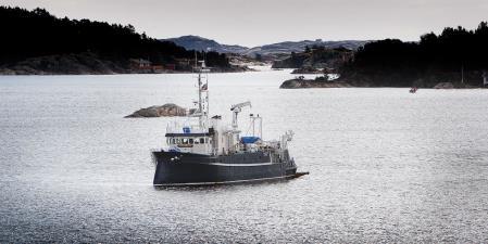 Arealene i kystsonen er under press og forvaltningen må legge til rette både for en høy og varig verdiskapning innen akvakulturnæringen,