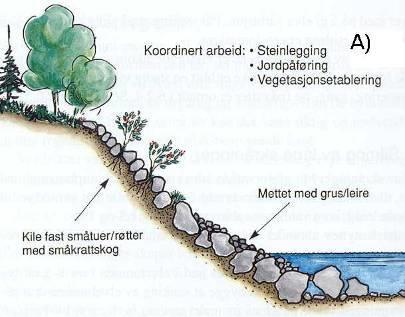 steinsettes. I forbindelse med steinsetting kan det også være aktuelt å gjøre noe utretting av bekken på stedet ved å grave bort nebb eller rotsystemer fra busker i bekkeløpet (se beskrivelser over).