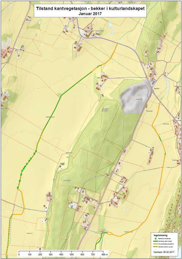 Figur 11.Tilstanden i øvre deler av Vakerbekken den 11. januar 2017. Grønn strek: Kantskog og busker.