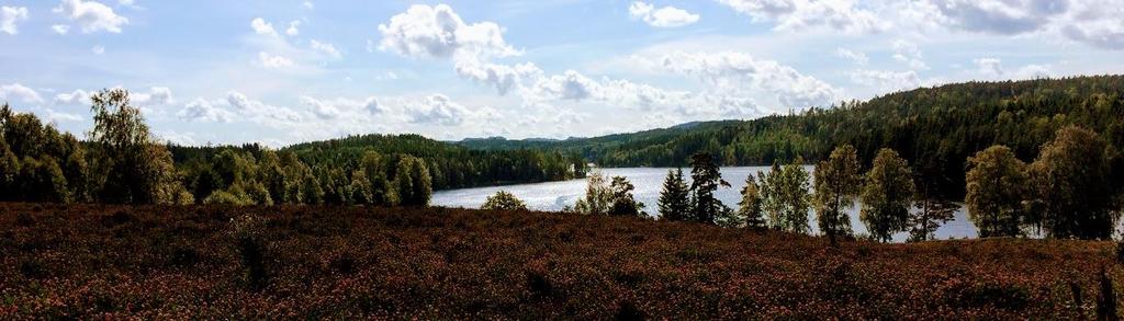 ØYMARK BARNEHAGE - Tro, håp og kjærlighet - ÅRSPLAN OG VIRKSOMHETSPLAN