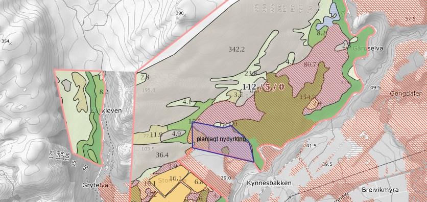 Sak 36/18 Lied har få andre alternativer som kan dyrkes annet enn myr. Dyrkbar jord på eiendommen er markert med rød skravur på kart under. Omsøkt nydyrking er markert med blå skravur.