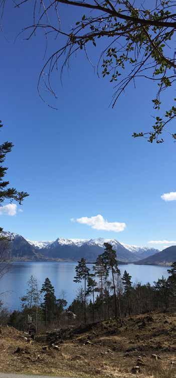 Langs ruten kan du blant annet se det unike samspillet mellom is og berg som har vært med å forme nasjonalparken.