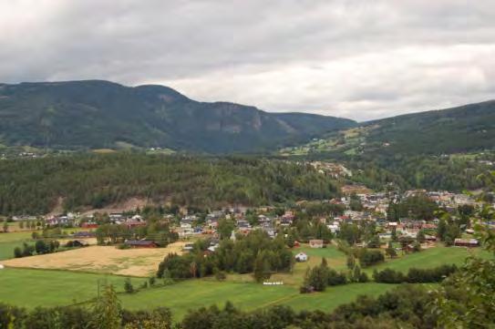 Verdivurdering Boligområdet har liten til middels tetthet, god tilgjengelighet til servicetilbud og tilgang til