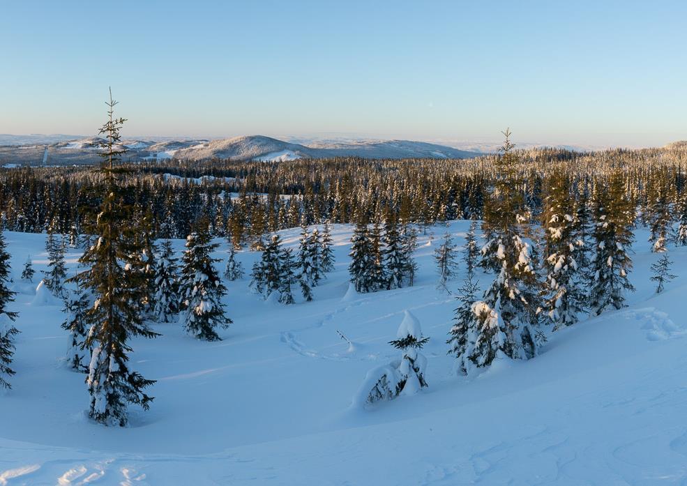 Panoramautsikt mot sør og