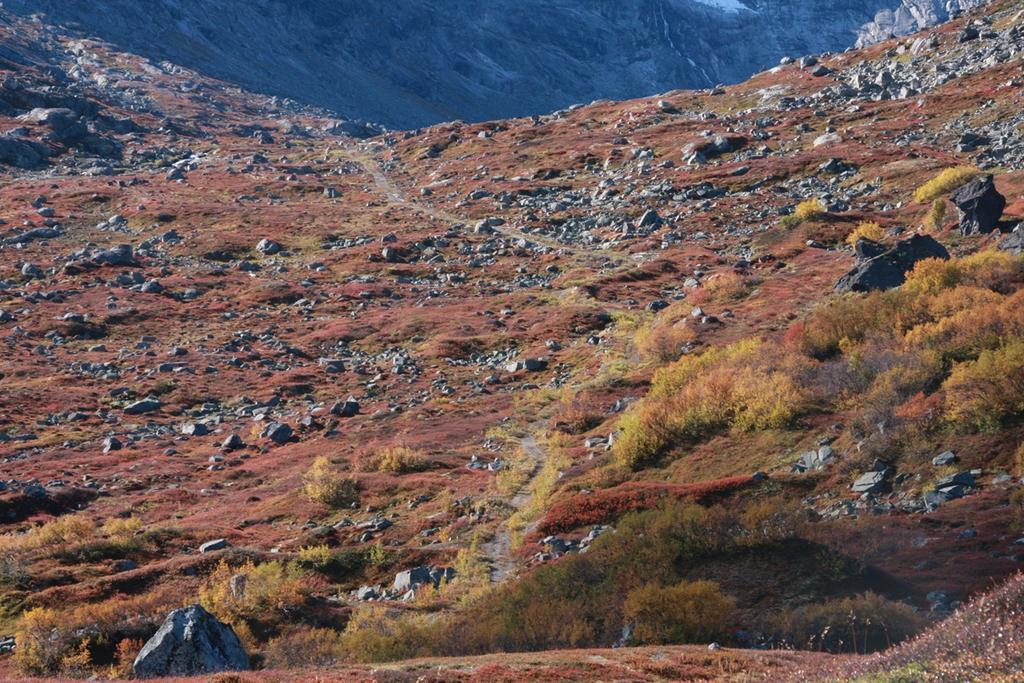 I Forvaltingsplan for Breheimen med tilgrensande verneområde heiter det mellom anna: Vegen frå Nordre Høydalen til Bukkebotnen er ikkje open for allmenn motorferdsel.