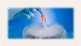 Medisinsk behandling Rinexin (Alpha reseptor stim) 25mgx2 (Anticholinergika (Imipramin/Tofranil)) 38 Spermier fra urinen Assistert befruktning Spermier fra testikkel Assistert befruktning Hva er best?