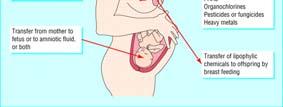 infertilitet Et symptom med mange årsaker Hos de fleste: idiopatisk foreløpig.