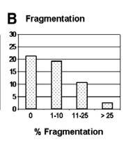 , 1994; Munnè og Cohen, 1998) Korrelerer negativt med graviditets- og implantasjonsrater (Ziebe et al., 1997) Kan inneholde kromosomer (Chavez, et al.