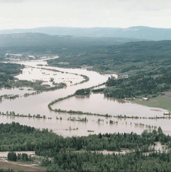 Klimaendinger Arealene utsettes for et våtere, varmere og villere klima Dette må handteres og det koster!