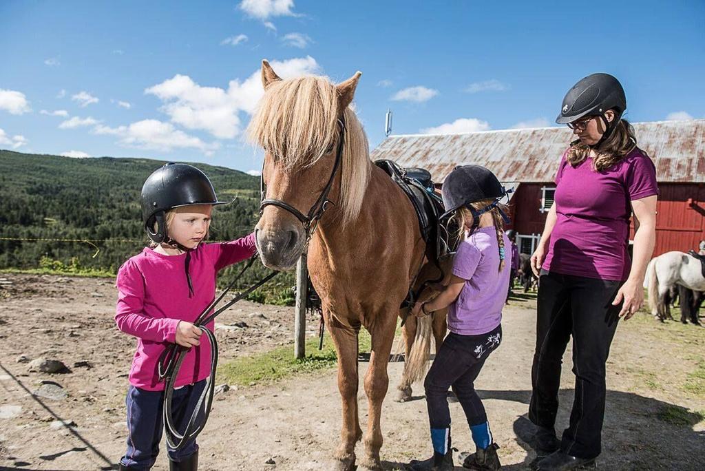 I Skarslia har vi med oss ca 30 hester. Dette er hester som passer alle ridenivåer, både helt uerfarne og vante ryttere.