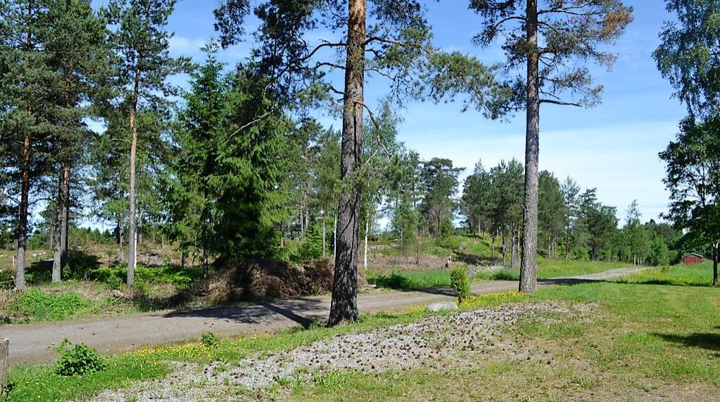 4 2 PLANOMRÅDET Planområdet er en liten åsrygg mellom skolen og kirken i Båstad. Det grenser til gangveien langs RV22 i vest, mot Olberg gård (LNF) i nord, øst, og delvis syd.