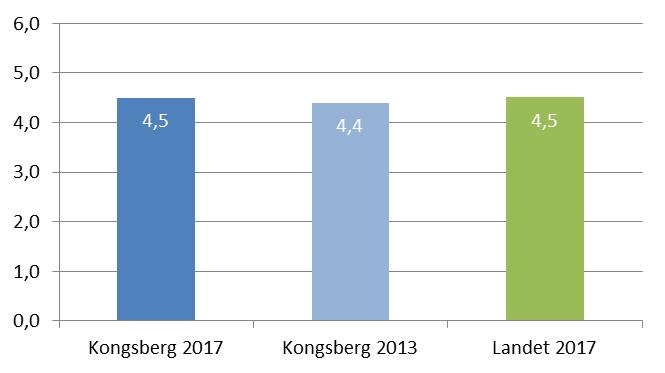 Informasjon Spørsmål Kongsberg Kongsberg Landet 2017 2017 2013 informasjon om