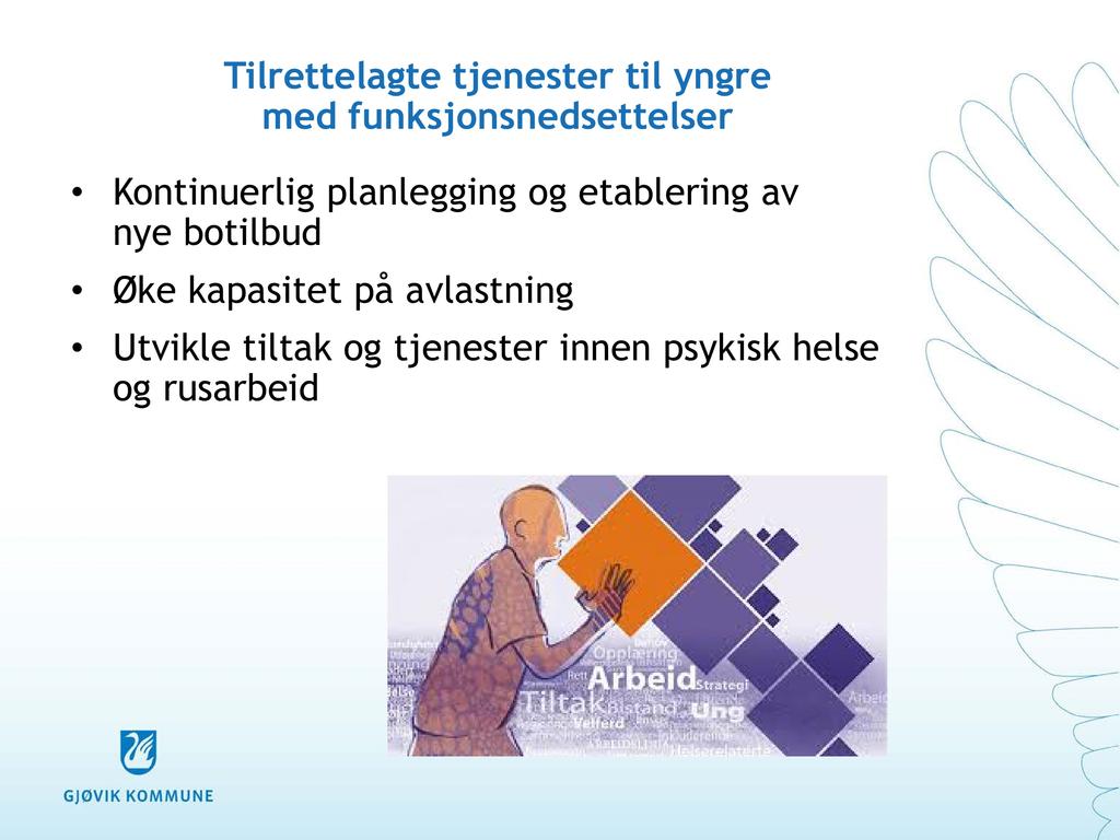 Tilrettelagte tjenester til yngre med funksjonsnedsettelser Kontinuerlig planlegging og etablering av