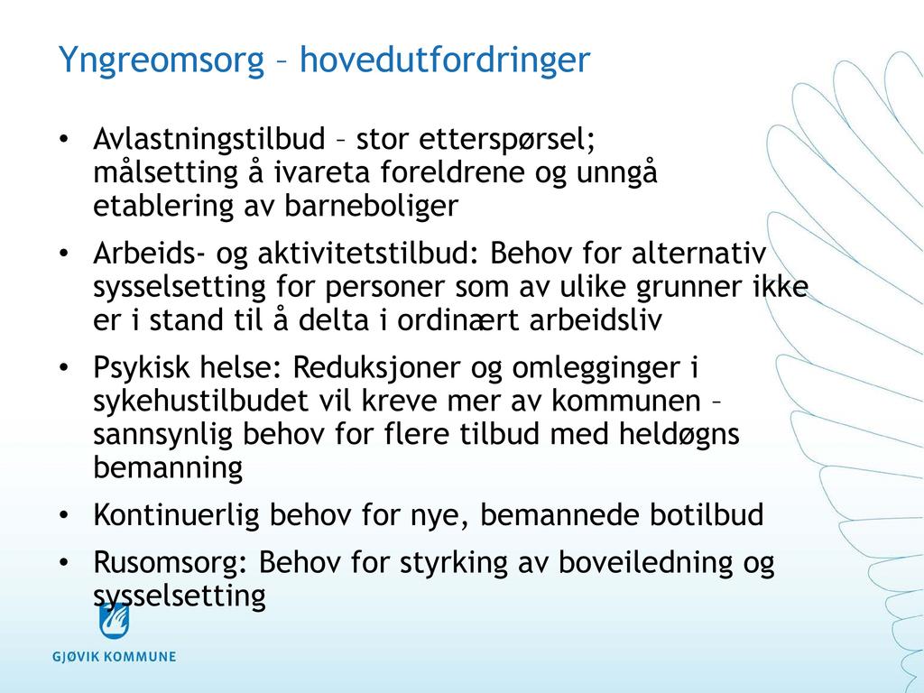 Yngreomsorg hovedutfordringer Avlastningstilbud stor etterspørsel; målsetting å ivareta foreldrene og unngå etablering av barneboliger Arbeids - og aktivitetstilbud: Behov for alternativ