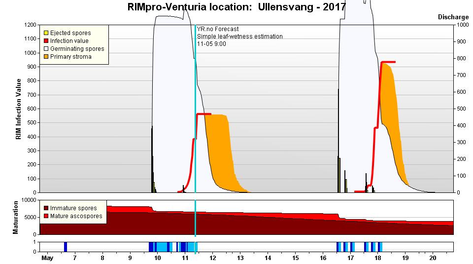 Rimpro i