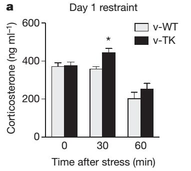 Nevrogenese hos voksne bufrer stress og