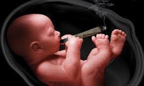 Cannabis Enkelte studier finn assosiasjon mellom uønska perinatale svangerskapsutfall (lav vekt, prematur fødsel, placenta-komplikasjonar) og cannabisbruk I svangerskapet, men det er uklart om det er