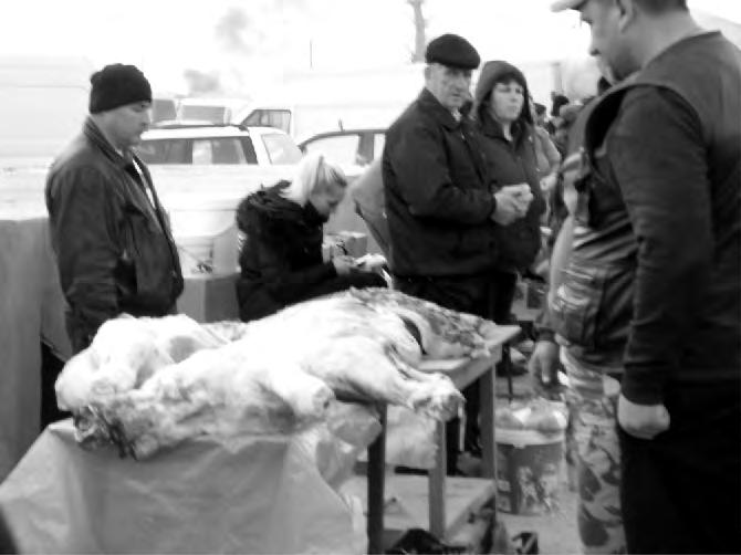 spital. La Orbeasca, în fiecare zi de târg evazioniștii vând câteva tone de carne, fără ca cineva să-i întrebe de sănătate!