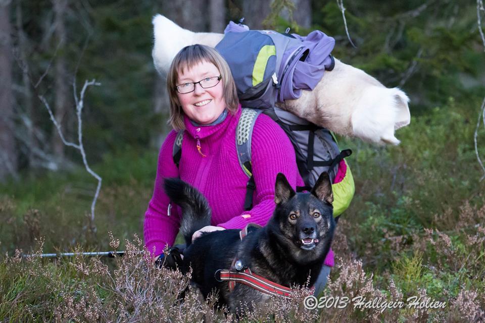 Nosework! Helgen 12-13 februar 2017 kommer Anne Marit Hagen til Bardu Hund for å kjøre introduksjonskurs i Nosework spesialsøk for «vanlige» hunder!