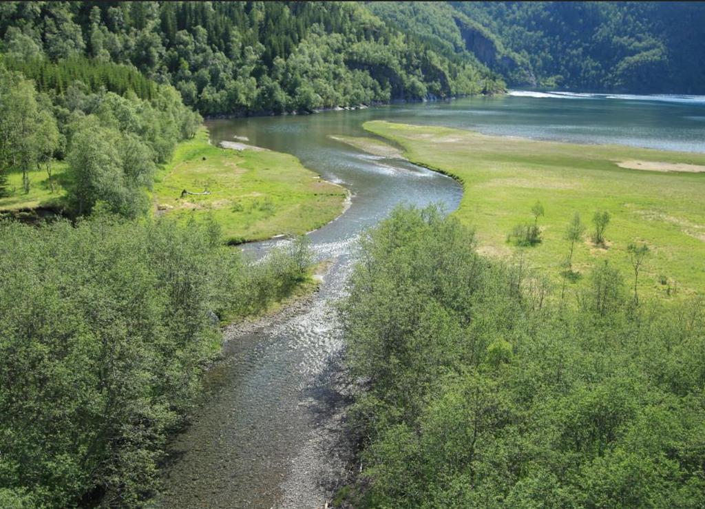 . Rapport 2018-09 Austerdalselva i Tysfjord - fiskebiologiske