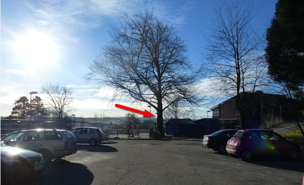 Vår dato Vår ref. side 3 Figur 2: Treet sett fra nordøst, fra parkeringsplassen. Grannes barnehage i grendahuset i bakgrunnen til høyre. Foto: C. Meyer 2013.