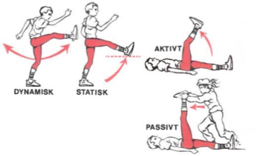 Bevegelighetstrening Bevegelighetstrening kan være både statisk og dynamisk.
