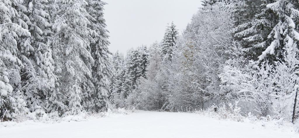 og 24. oktober 2017 av Unni Tveiten Grøtberg, som også var feltleder og rapportansvarlig. De to første dagen var det tåke yr og frost, mens det den siste dagen hadde kommet en god del snø.