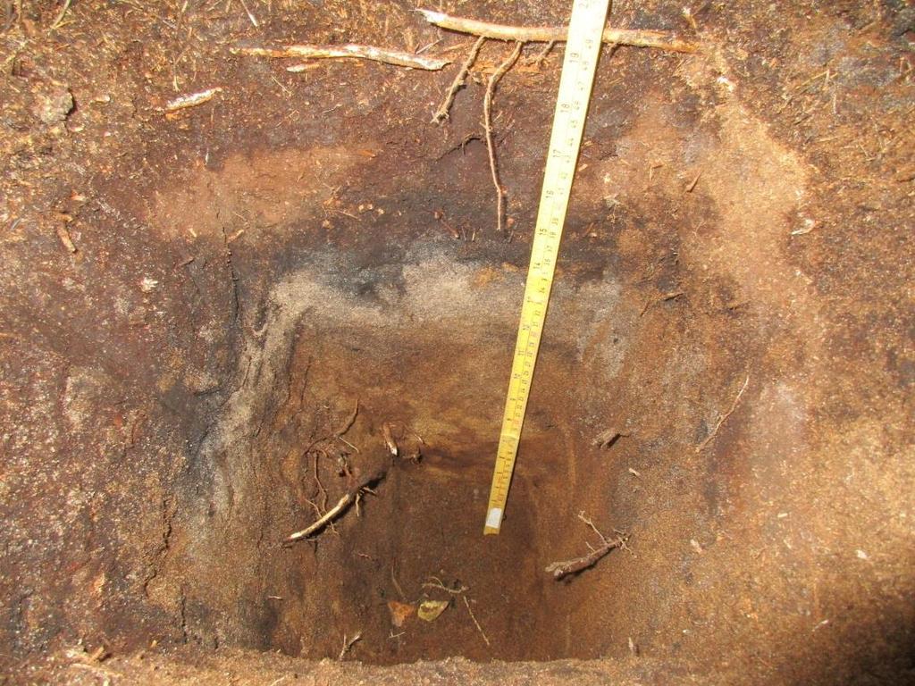 Det ble ikke funnet bearbeidet flint er annet arkeologisk materiale i noen prøvestikkene. Grunnen er stedvis omrotet, delvis på grunn av grøfting.
