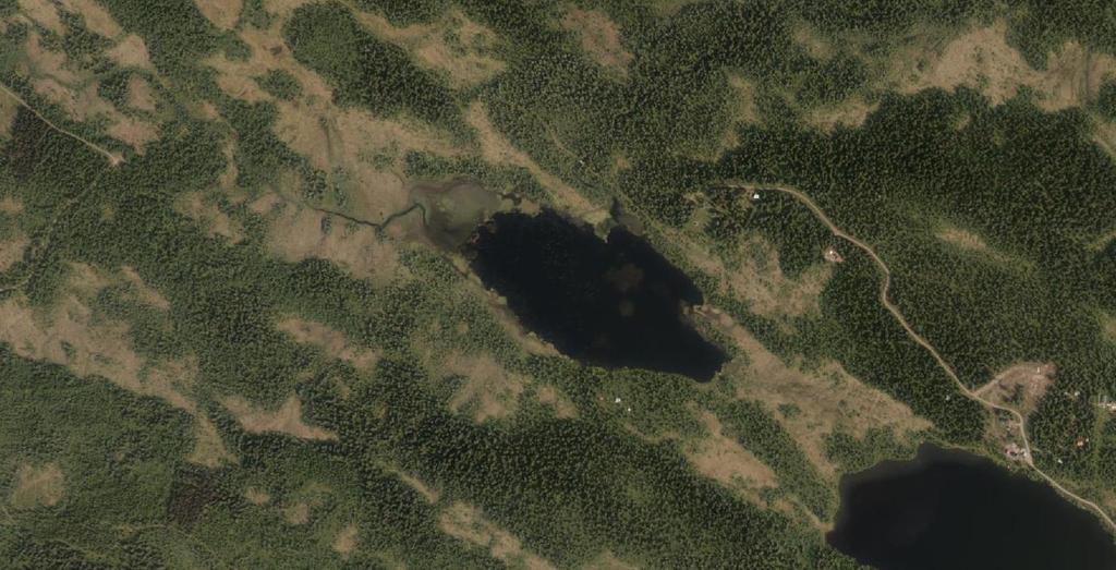 6754327) Høyde over havet 694 m.o.h. Beskrivelse Ligger i myrlendt skogsterreng.