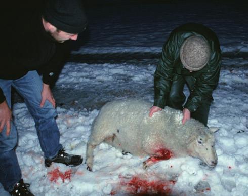 For det andre skal fylkesmannen sikre at kommunale vedtak i plan- og byggesaker er i samsvar med gjeldende lovverk (i hovedsak plan- og bygningsloven) og rikspolitiske retningslinjer (RPR).