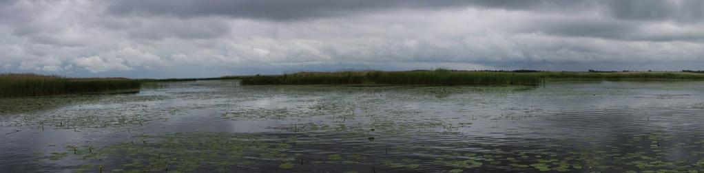 Innsjøen Tåkern øst for Vättern i Sverige er et Natura 2000 område. Den er registrert både som SPA og SCI område.