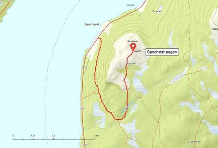 SANDNESHAUGEN 166 moh Sandneshaugen (166 moh) er en flott tur for hele familien. Her kan du både grille på «bålplassen» og bade i Badarholla.
