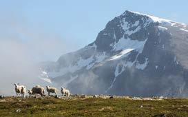 turkonkurranse i storslagen natur Årets topper Følg med på www.karlsoy.kommune.no og på Karlsøy kommune sin side på www.telltur.no for å se hvilke topper i turheftet som er med i årets sesong.