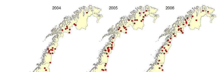 Figur 3. Kart som viser fordelingen av dokumenterte og antatte ynglinger av jerv i Norge i 2004-2006. I alt er det registrert yngling på 36 lokaliteter i Nord-Norge og 21 i Sør-Norge i 2006.