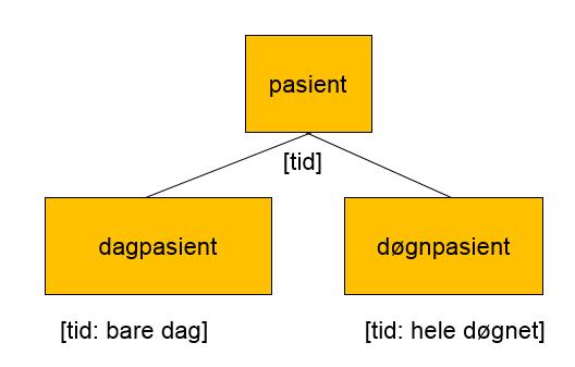 dagpasient: pasient som er på sykehus om dagen, men tilbringer