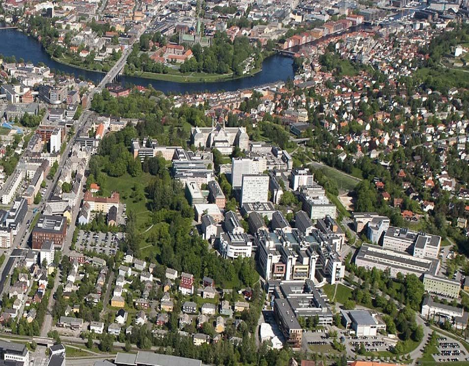 Mulighetsstudier på/utenfor Gløshaugen Sees på følgende områder: Hesthagen-Vestskråningen- Sørområdene Fengselstomta-Grensen