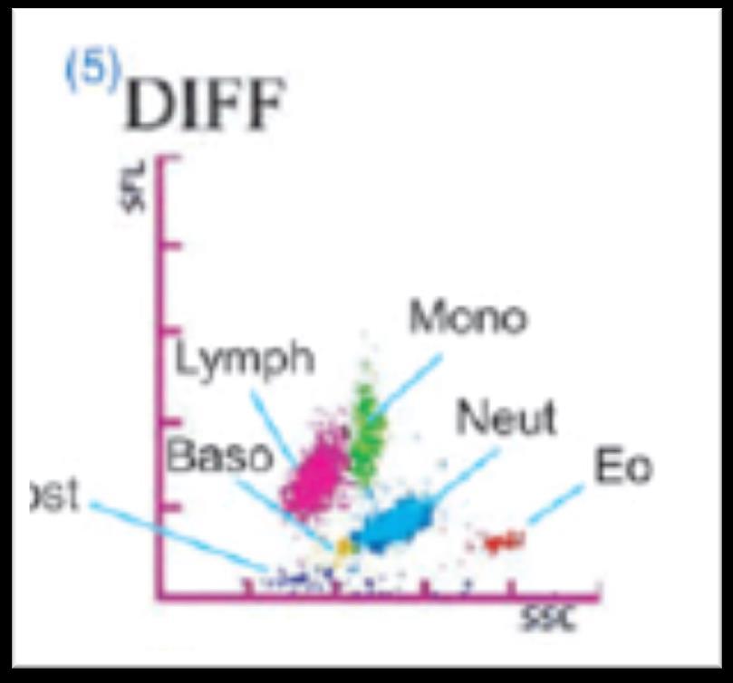 Leukocytter WBC 5-DIFF SYSMEX-XS bruker et adaptivt Cluster Analyse System (ACAS) for å finne skille mellom de ulike celle typene.