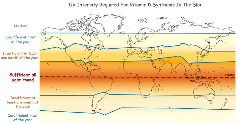 Vitamin-D