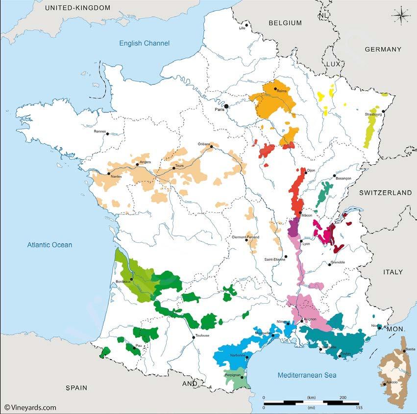 Idag: Frankrike Kjenner du druene i Frankrike kjenner du også mye av