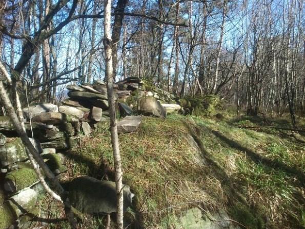 Naturmiljø Vurderingsområdet har lauvskog på særs høy bonitet. På kollen i sør er det hovedsakelig furutrær og mer åpen skog uten busksjikt.