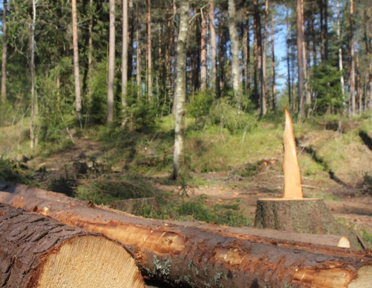 Statistikkforbedringer neste runde Utslippsregnskap for skog, areal og arealbruksendringer Ny
