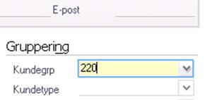nummer Når du har valgt Kundegruppe, og