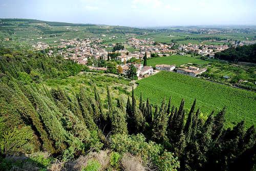 Her svinger vi opp mot Monte Luppia og etter oppstigningen når vi de gamle helleristningene, hvor de eldste dateres helt tilbake til den italienske jernalderen.