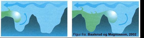 Fjordens oksygenforhold og vannutskiftning Dypvannet i Indre Oslofjord fornyes gjennom tilførsel av tyngre sjøvann fra Ytre Oslofjord og Skagerrak over Drøbaksterskelen.