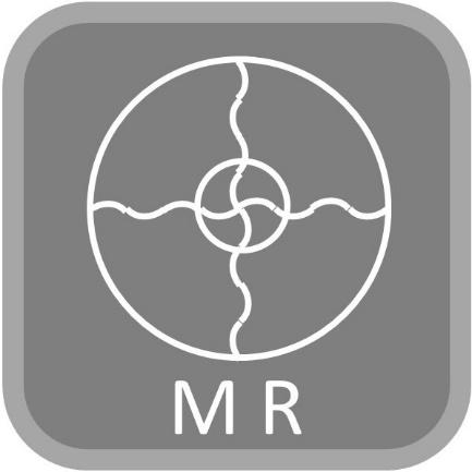 29. oktober 2. november 2019 MRI in Practice Etter endt fagkurs skal deltageren ha fått en gjennomgang av både fundamental og avansert MR-kunnskap.
