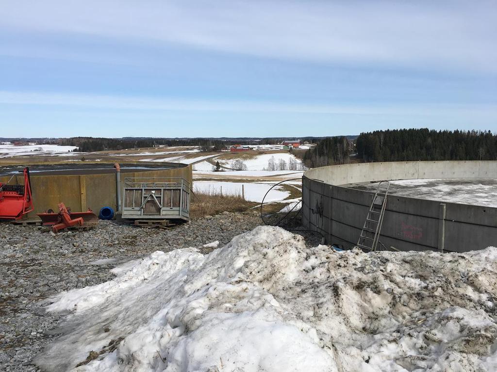 Biogass fra gjødsel Energipotensiale: Storfe; (8,5% TS) 133 kwh/tonn