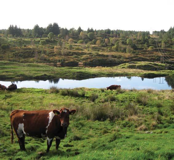 RADØY Radøy kommune, kommuneplan 2005-2017, viser en befolkning på 4618 personer i kommunen i 2002. Kommunen har en svak økning i folketallet.