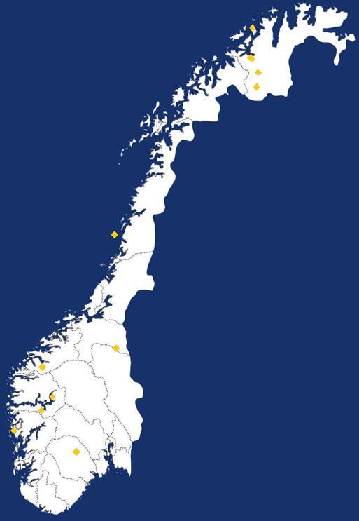 De norske verdensarvstedene Struves meridianbue (2005) Bergkunsten i Alta (1985) Vegaøyan (2004) Røros bergstad og Circumferensen (1980/2010)